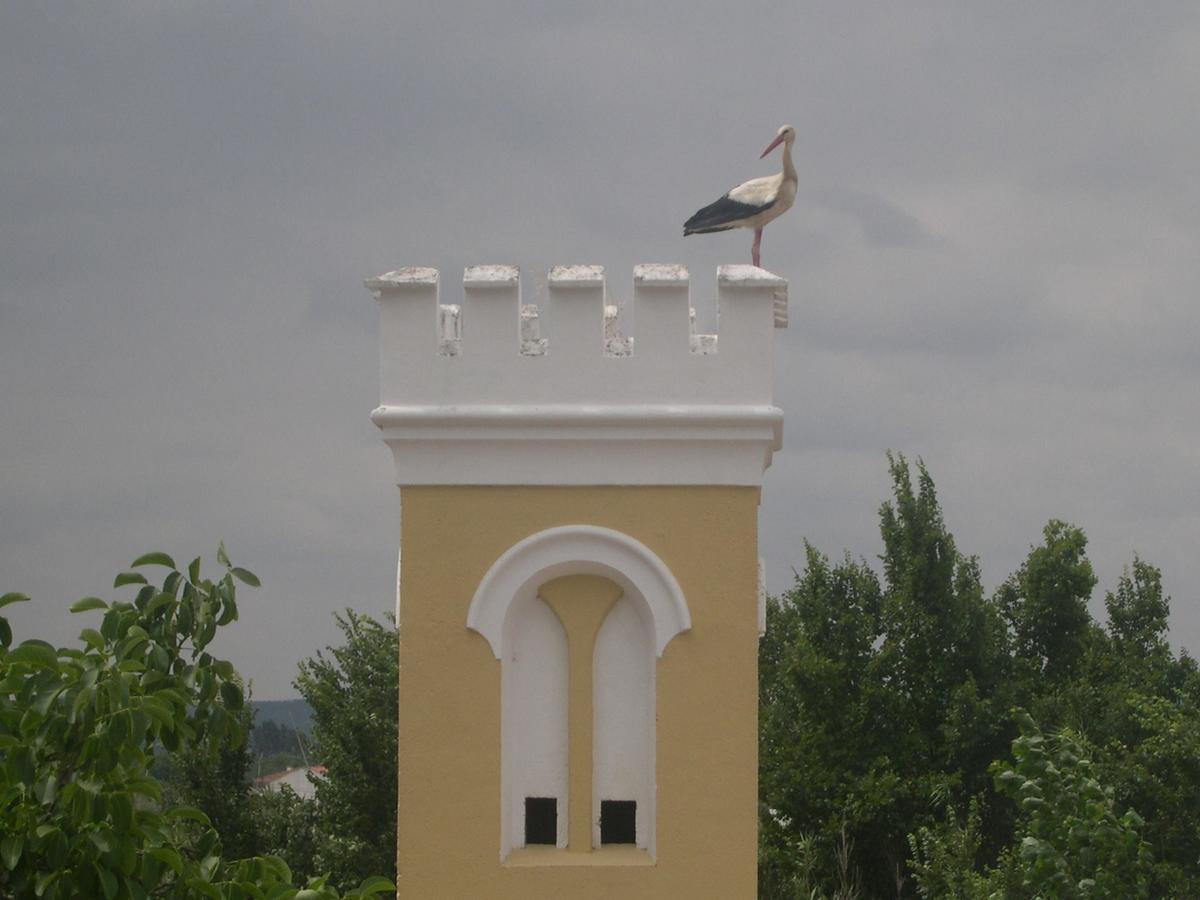 Quinta De Coalhos Th Villa Abrantes Exteriör bild