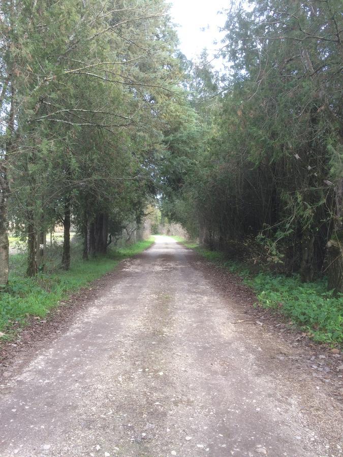 Quinta De Coalhos Th Villa Abrantes Exteriör bild